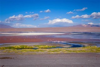 Bolivia weather forecast