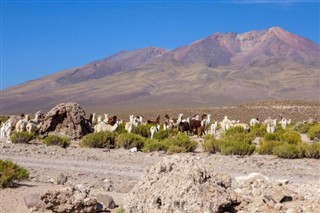 Bolivia vejrudsigt