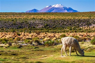 بوليفيا توقعات الطقس