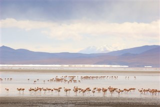 Bolivia vejrudsigt