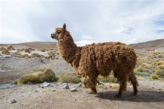 Bolivia vejrudsigt