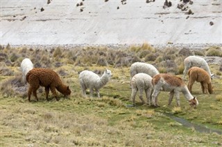 Bolivie prévisions météorologiques