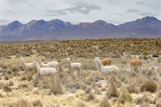 Bolivia vejrudsigt