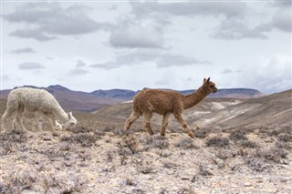 Bolivia vejrudsigt