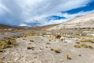 Bolivie prévisions météorologiques