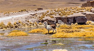 Bolivia vejrudsigt