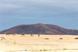 بوليفيا توقعات الطقس