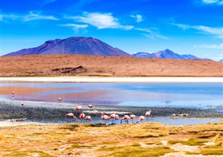 Bolivia weather forecast
