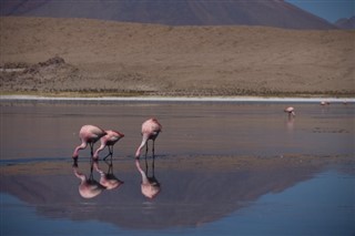 Bolivia vejrudsigt