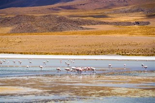 Bolivia vejrudsigt