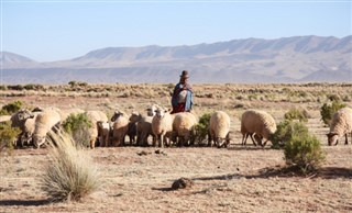 Bolivia pronóstico del tiempo