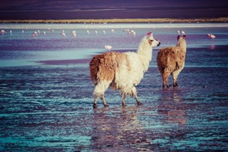 Bolivia vejrudsigt