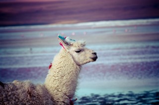 Bolivia předpověď počasí