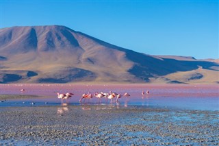 Bolivia vejrudsigt