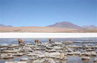 Bolivia vejrudsigt