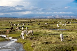 Bolivya hava tahmini
