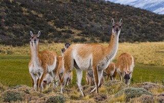 Bolivie prévisions météorologiques