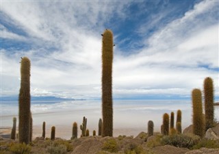 Bolivia pronóstico del tiempo