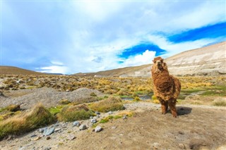 Bolivia vejrudsigt