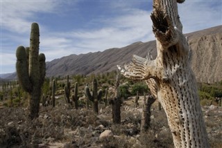 Bolivien pronóstico del tiempo