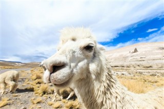 Bolivia vejrudsigt