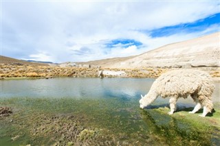 Bolivia vejrudsigt