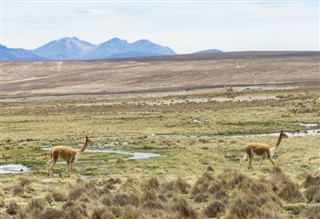 Bolivie prévisions météorologiques