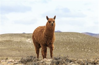 Bolívie předpověď počasí