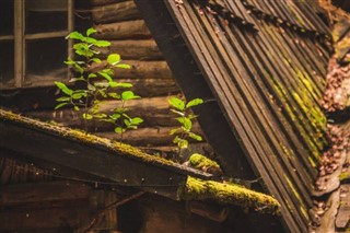 Bosznia és Hercegovina időjárás-jelentés