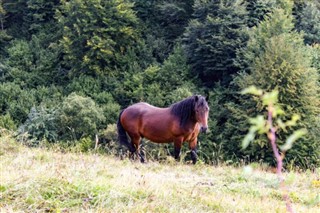 Bosznia és Hercegovina időjárás-jelentés