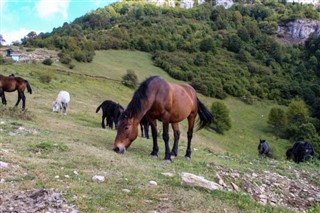 Bosna Hersek hava tahmini