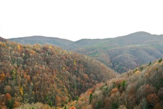 Bosnien-Hercegovina vejrudsigt