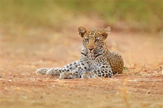 Botswana vejrudsigt