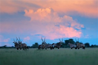 Botswana időjárás-jelentés