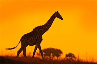 Botswana předpověď počasí