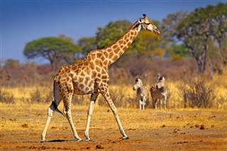 Botswana předpověď počasí
