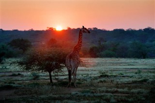 Botswana prévisions météorologiques