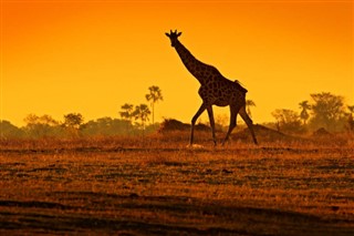 Botswana vejrudsigt