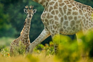 Botswana időjárás-jelentés
