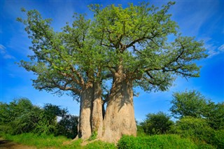 Botswana vejrudsigt
