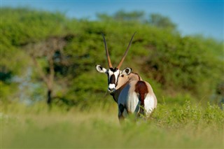 Botswana vejrudsigt