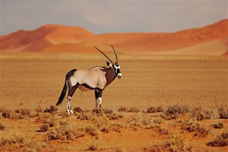 Botswana vejrudsigt