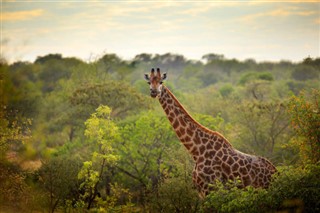 Botswana prévisions météorologiques