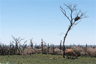 Botswana weather forecast