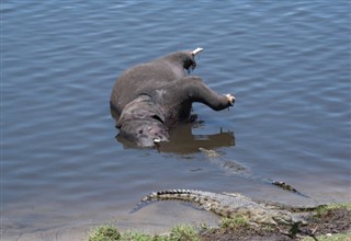 Botswana időjárás-jelentés