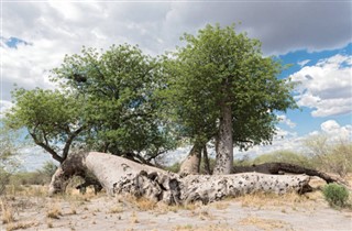 Botswana vejrudsigt