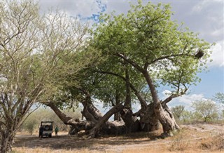 Botswana předpověď počasí