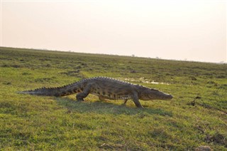 Botswana pronóstico del tiempo