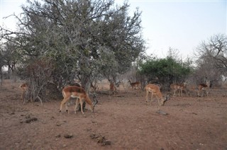 Botswana prévisions météorologiques