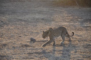 Botswana időjárás-jelentés